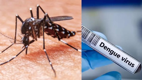 தமிழகத்தில் அதிகரிக்கும் டெங்கு காய்ச்சல்! Dengue அறிகுறிகள் என்னென்ன?