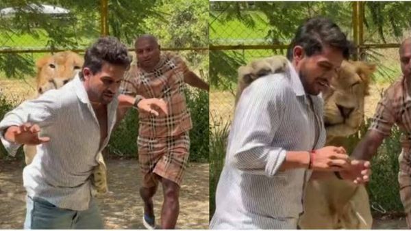சிங்கம் திடீரென கிரண் ராஜ் மீது சீறிப்பாய்ந்து.. வெலவெலத்த ரசிகர்கள்.. பிரபல நடிகருக்கு என்ன ஆச்சு?