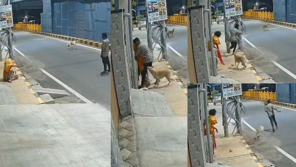 நள்ளிரவு 2 மணி.. கோவை பெண்ணிடம் நெருங்கிய உருவம்.. ஓடி வந்து காப்பாற்றிய நாய்.. சிசிடிவியில் இவரா?