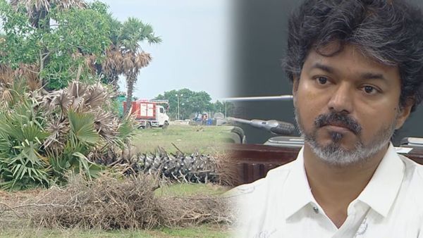 முதல்வர் விஜய் பிரச்சாரக் கூட்டத்துக்காக பனைமரங்கள் அகற்றம்? மதுராந்தகம் அருகே ஷாக்!