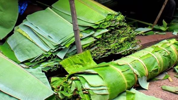 வழியைக் காட்டிய விநாயகர்.. வாழை இலைக்கு வந்த திடீர் மவுசு! விலையைக் கேட்டதும் தலையே சுத்திருச்சு!