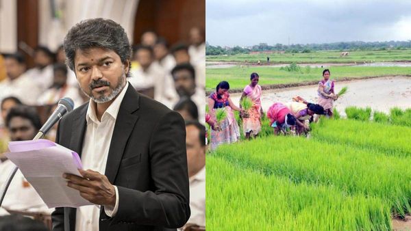 விவசாயிகளுக்கு ஹேப்பி நியூஸ்.. பயிர்க் கடன் தள்ளுபடி! அதிரடியாக வெளியான அரசாணை! யாருக்கு எவ்வளவு?