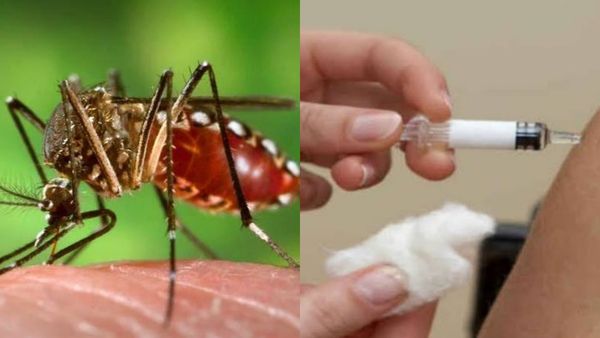 Qdenga: இந்தியாவின் முதல் டெங்கு தடுப்பூசி கியூடெங்கா! கடையநல்லூரில் சோதனை முயற்சி! 