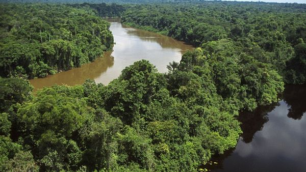 அமேசானின் குறுக்கே புதிய அணைகள்: ஆபத்துக்குள்ளாகும் சுற்றுச்சூழல்?