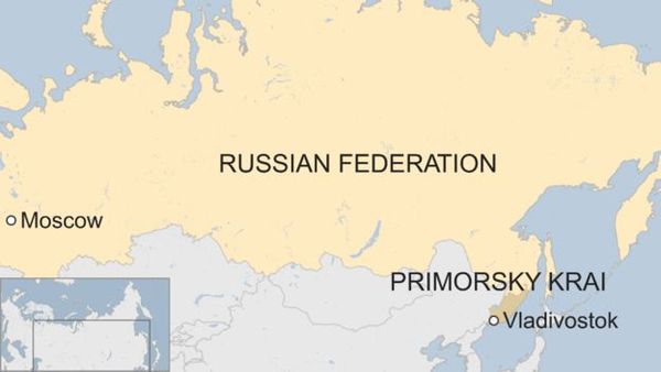 கேமராவில் பதிவான புலிக்குட்டிகளின் செல்ஃபி