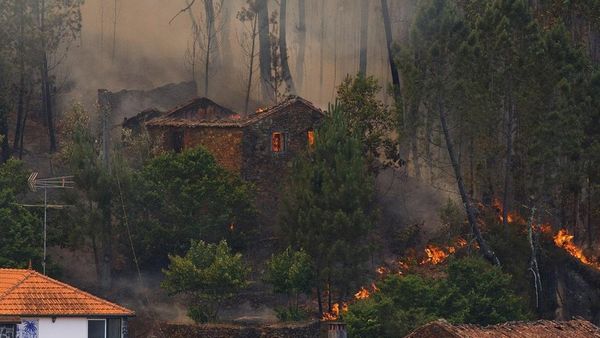 ஆபத்தான நேரங்களில் உயிர் தப்புவது எப்படி?