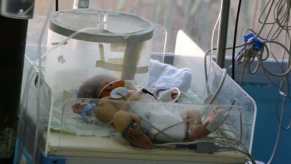 வைட்டமின் பி3 உட்கொண்டால் கருச்சிதைவு, பிறப்புக் குறைபாடு வாய்ப்புகள் குறையும் - ஆய்வு