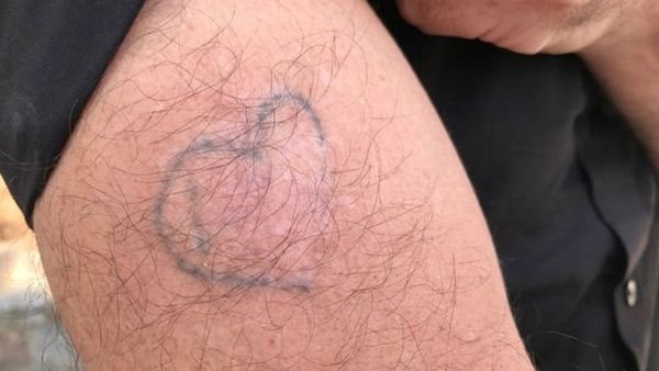 ‘பச்சை’ முட்டாள்தனம் ! – பிபிசி செய்தியாளரின் சொந்த அனுபவம்