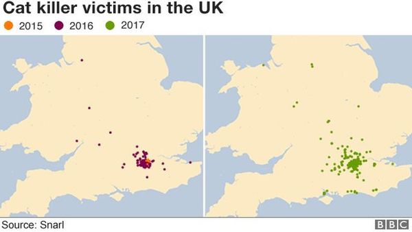மனிதாபிமானமற்ற முறையில் பூனைகளை கொலை செய்யும் சீரியல் கில்லர்: பிரிட்டன் மக்கள் அச்சம்