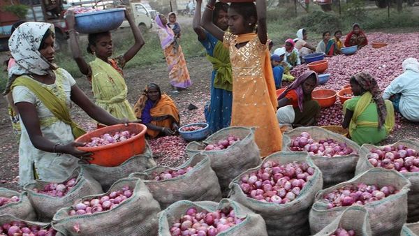 கணக்கில் வராத பெண்களின் மரணங்கள்: விவசாயத் துயரம்