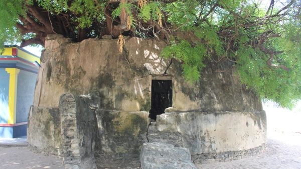 பவளப்பாறை சுற்றுச்சுவர்: ராமேஸ்வரத்தின் 200 ஆண்டுகள் பழமையான நெற்களஞ்சியம் பாதுகாக்கப்படுமா?