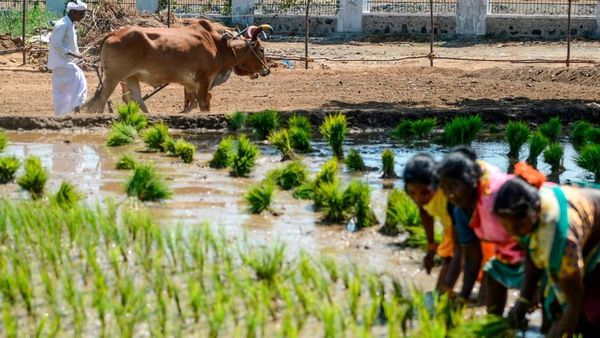 தமிழ்நாடு வேளாண் நிதி நிலை அறிக்கையின் முக்கியமான 20 அம்சங்கள் என்னென்ன?