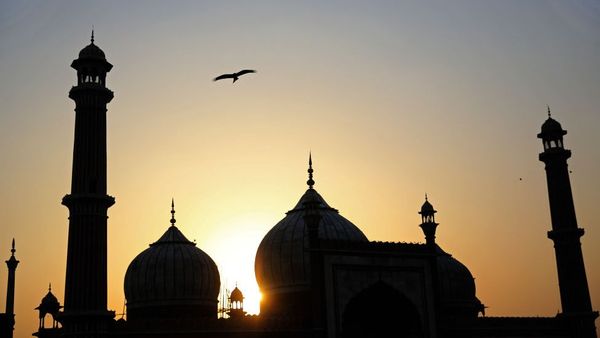 மக்கள் ஆசி யாத்திரை: பாஜக கொடி நிறத்தில் வண்ணம் பூசப்பட்ட குதிரை - மேனகா காந்தியின் அமைப்பு கொடுத்த புகார்