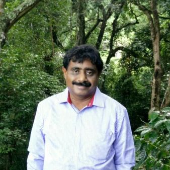 டி23 புலி வேட்டை: 