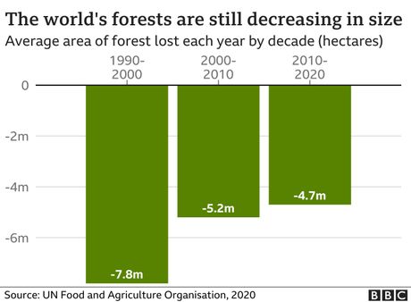 பருவநிலை மாநாடு: காடழிப்பு ஒப்பந்தம் நியாயமற்றது என விமர்சித்த இந்தோனீசிய அமைச்சர் கையெழுத்திட்ட அதிபர் விடோடோ