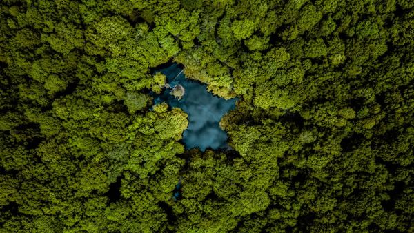 COP26 மாநாடு: இறுதி முடிவு எட்டப்படாததால் தொடரும் பேச்சு வார்த்தைகள் - இழுபறியில் இருப்பது என்ன?