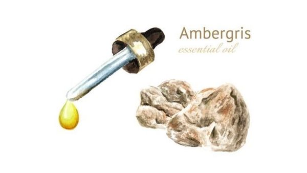 திமிங்கல வாந்தி: ரூ. 2 கோடி மதிப்புள்ள அம்பர்கிரிஸை பதுக்கியதாக நாகை மீனவர்கள் இருவர் கைது