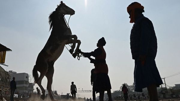 டெல்லி விவசாயிகள் போராட்டம்: வெற்றிக் களிப்புடன் வீடு திரும்பும் போராட்டக்காரர்கள்