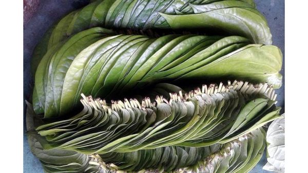 கும்பகோணம் வெற்றிலைக்கு புவிசார் குறியீடு தமிழ்நாடு வேளாண்மைப் பல்கலைக்கழகம் விண்ணப்பித்துள்ளது.