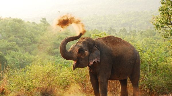 நீட் தேர்வில் வெற்றி: 37 வயதில் நிறைவேறிய தருமபுரி இளைஞரின் சிறுவயது கனவு