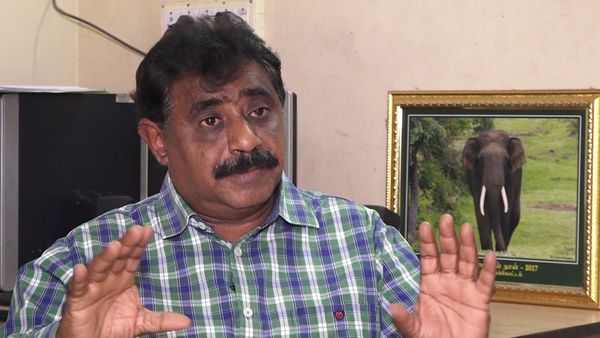 கோவை அருகே 2 மாதங்களில் 9 யானைகளின் உயிரிழப்பு - காரணம் என்ன? பதறவைக்கும் படங்கள்