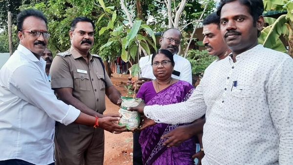 திருச்சி அகதிகள் முகாமில் விதைகள் சேகரித்து, மரக்கன்றுகள் வளர்த்து விநியோகிக்கும் இலங்கைத் தமிழர்