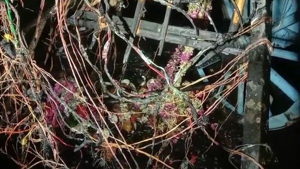 தஞ்சாவூர் அருகே தேர்த்திருவிழாவில் மின்சாரம் தாக்கி 2 சிறுவர்கள் உட்பட 11 பேர் பலி