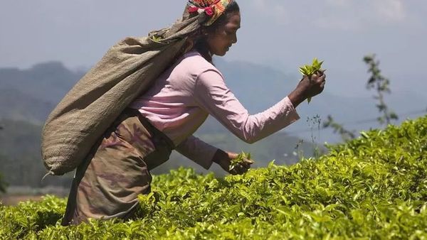 பிரதமர் நரேந்திர மோதியின் சமீபத்திய சொத்து மதிப்பு வெளியீடு - 'அசையா சொத்துகள் ஏதும் இல்லை'