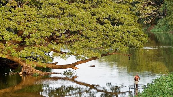 காவிரி: தருமபுரி விவசாயிகள் காத்திருக்கும் உபரி நீர்: 40 ஆண்டுகால பிரச்னைக்குத் தீர்வு என்ன?