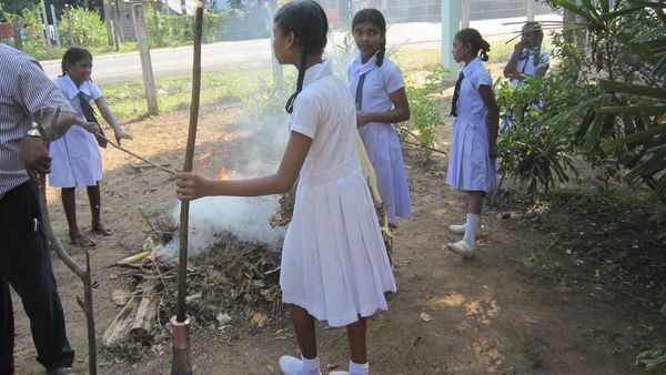 இலங்கை : டெங்கு காய்ச்சலுக்கு அதிகளவில் பாதிப்புக்குள்ளாகும் பள்ளி மாணவர்கள்