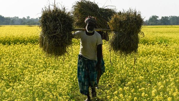 இந்தியாவில் தங்கத்துக்கான தேவை 35 சதவீதம் குறைந்தது – காரணம் என்ன?