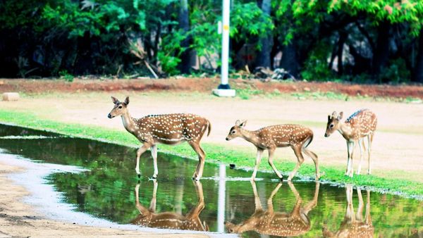 தமிழக சட்டமன்றம் முதல் மேற்கு வங்க கலவரம் வரை - இன்று காலையில் கவனிக்க வேண்டிய செய்திகள்