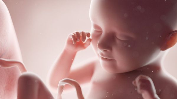 அறிவியல் அதிசயம்: 320 கோடி ஆண்டுகளாக அழிவின்றி வாழும் ஓர் 'ஆன்மா'வின் ஆச்சர்ய கதை