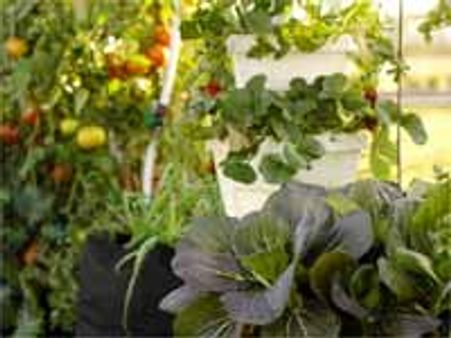 కర్తవ్యం