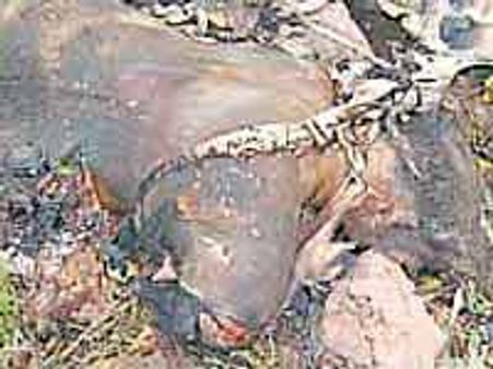 తెలియకుండానే మృత్యువులోకి వైయస్సార్