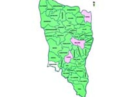 కుటుంబం ఆత్మహత్యాయత్నం: ఇద్దరు మృతి