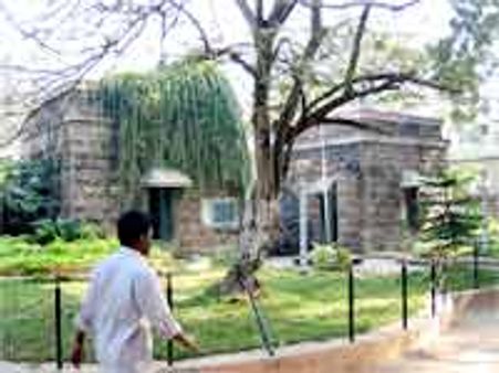 పసికందును ఎత్తుకెళ్లి చంపిన కుక్క