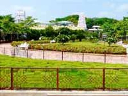 బాసర సరస్వతి ఆలయంలో భక్తుల వెల్లువ