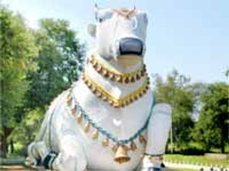 శాంభవి కుటీరాన్ని ధ్వంసం చేసిన దుండగులు