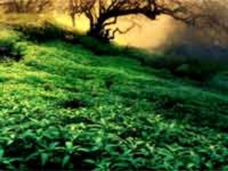 స్వప్నశకలం