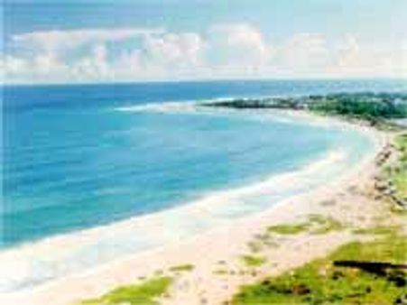 ముగ్గురు ఏజెన్సీ గిరిజనుల ప్రాణాలు తీసిన మాంసం