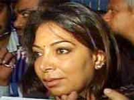 2జి స్పెక్ట్రమ్ స్కామ్: నీరా రాడియా ఇళ్లపై సిబిఐ దాడులు