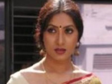 నెల్లూరు కోర్టుకు హాజరైన నటి ఆమని, ఆమె భర్త తిట్లపురాణం