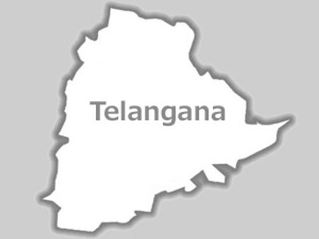 తెలంగాణలో సీమాంధ్ర సెక్యూరిటీ అధికారిపై దాడి