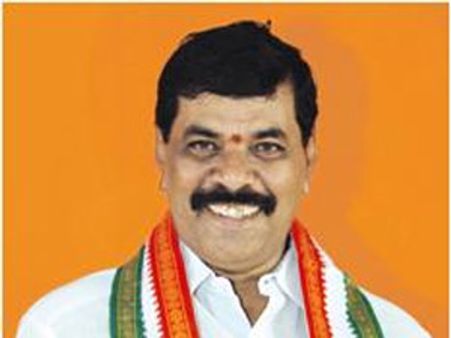 డిఎస్ ఎంపిక, తెలంగాణ ప్రక్రియకు అనుకూలం?