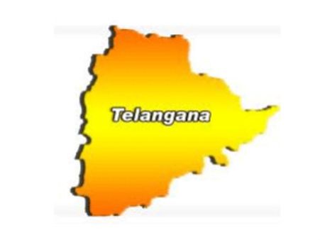 తెలంగాణ కోసం మరో ఆత్మహత్య, ఆటో డ్రైవర్ మృతి