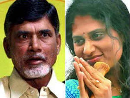 వర్షంలోనూ షర్మిల యాత్ర: గొర్రెలే బెట్టర్ అన్న బాబు