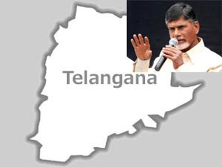 తెలంగాణపై ఒకే ప్రతినిధి: చంద్రబాబు వ్యూహం?