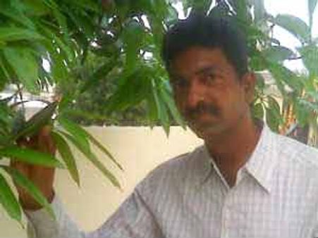 రాజకీయ గుట్టు విప్పిన 'మట్టిపాట'