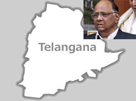 తెలంగాణకు మద్దతు: ప్రత్యేక విదర్బపై పవార్ గురి